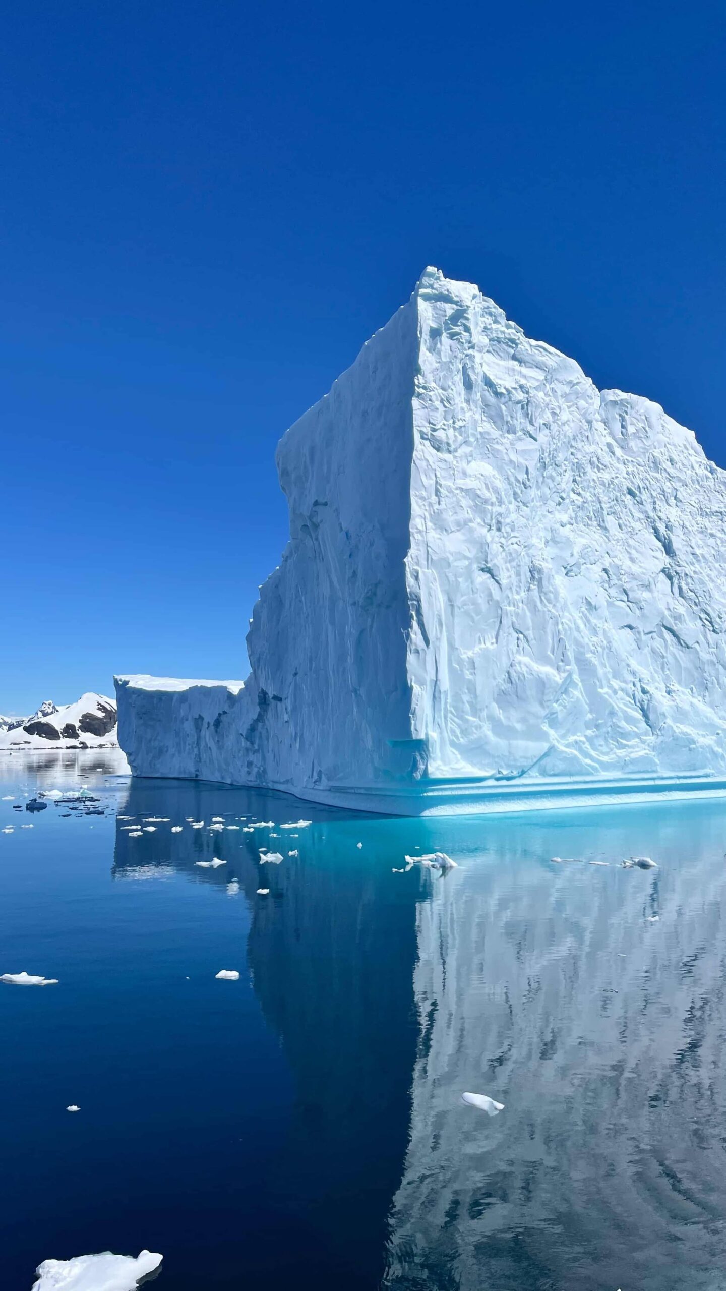 南極嚮導 Katie 的極地追夢